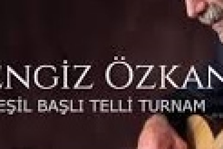 Cengiz Özkan - Yeşil Başlı Telli Turnam şarkı sözleri