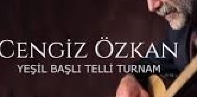 Cengiz Özkan - Yeşil Başlı Telli Turnam  şarkı sözleri