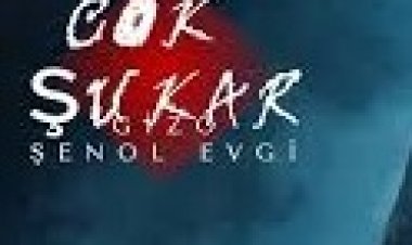 Gizo ft. Şenol Evgi - ÇOK ŞUKAR şarkı sözleri