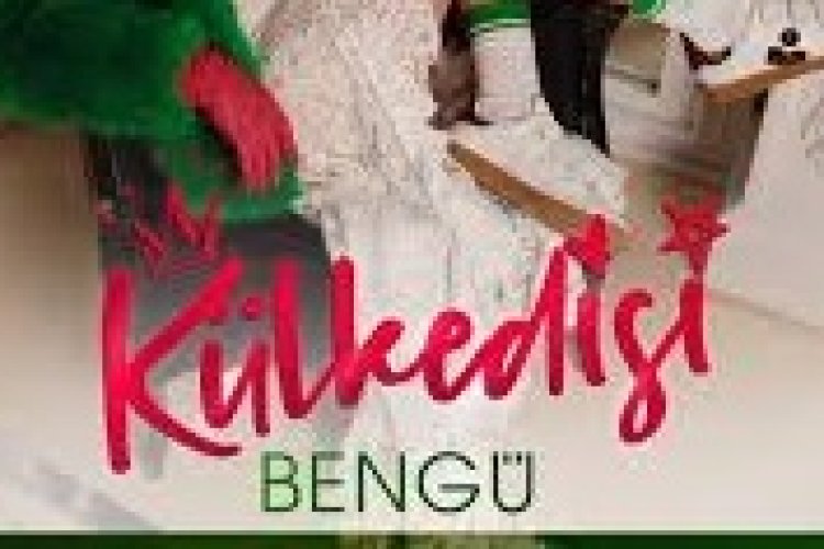 Bengü - Külkedisi şarkı sözleri