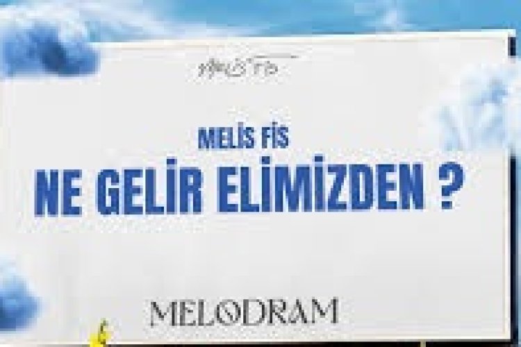 Melis Fis - Ne Gelir Elimizden şarkı sözleri