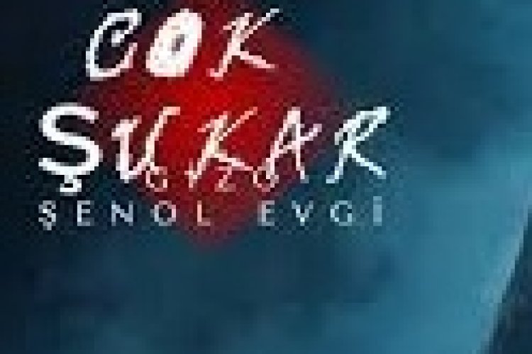 Gizo ft. Şenol Evgi - ÇOK ŞUKAR şarkı sözleri