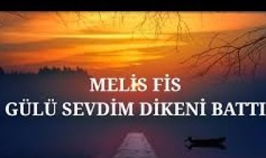 Melis Fis - Gülü Sevdim Dikeni Battı şarkı sözleri