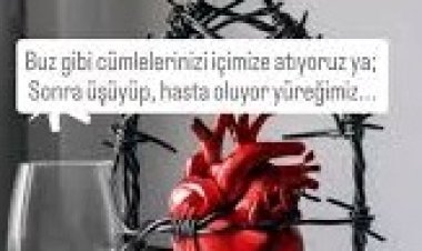 Kırılan gönlümdü