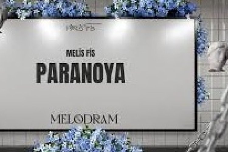 Melis Fis - Paranoya - Akustik şarkı sözleri
