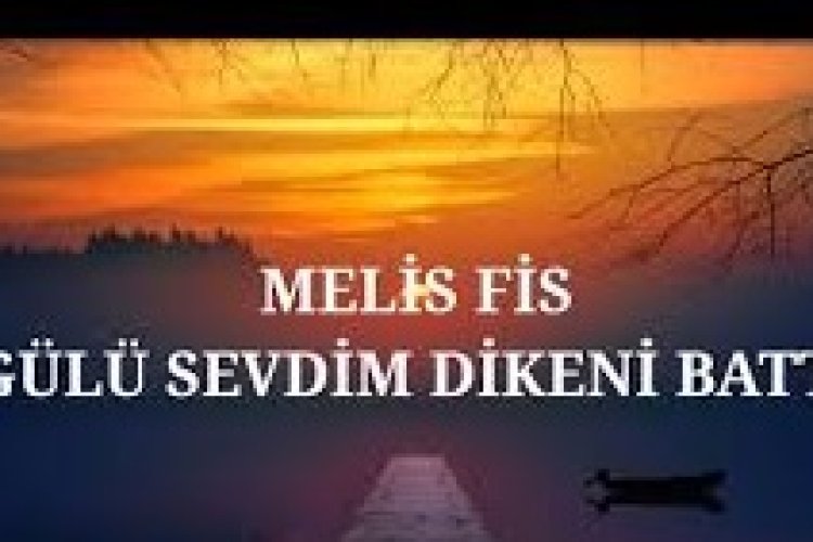 Melis Fis - Gülü Sevdim Dikeni Battı