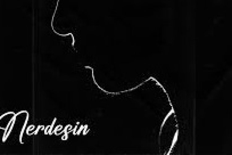 Heijan - Nerdesin