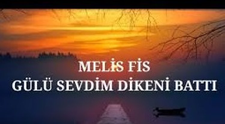 Melis Fis - Gülü Sevdim Dikeni Battı şarkı sözleri