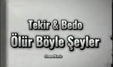 Tekir - Bedo Ölür Böyle Şeyler şarkı sözleri