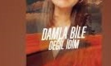 Sevcan Orhan - Sevenlere Gönül Verdim şarkı sözleri