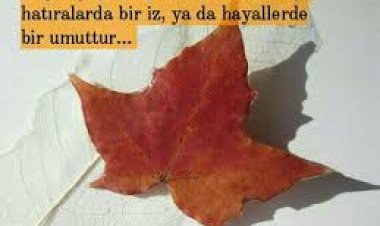 Hayat Yaşandığı Kadardır.