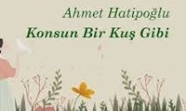 Ahmet Hatipoğlu - Konsun Bir Kuş Gibi şarkı sözleri