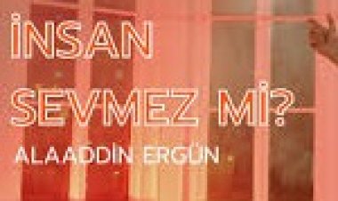 Alaaddin Ergün - İnsan Sevmez Mi şarkı sözleri