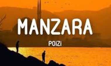 POIZI - MANZARA