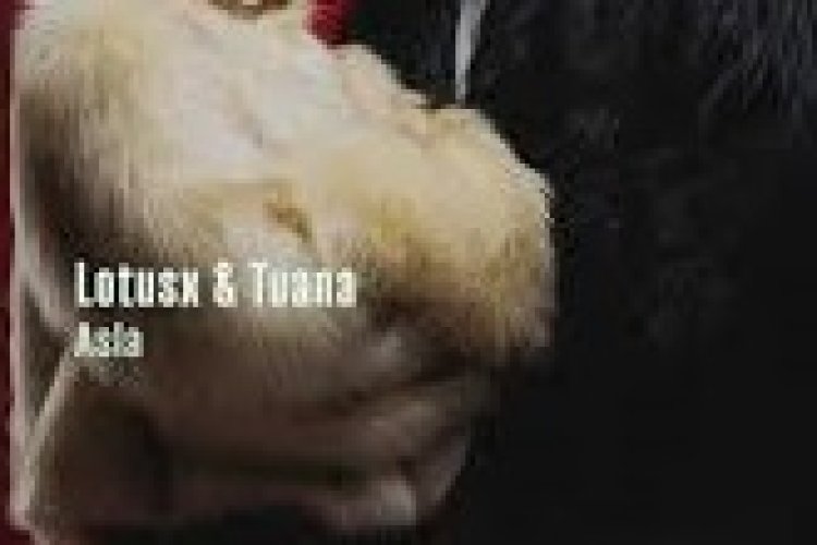 Lotusx - TUANA - Asla şarkı sözleri