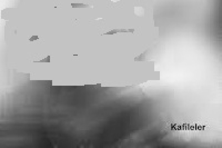 Şanışer - Kafileler