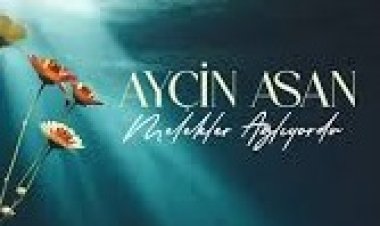Ayçin Asan Melekler Ağlıyordu şarkı sözleri