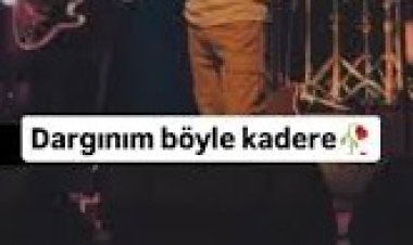 HiraiZerdüş - DARGINIM şarkı sözleri