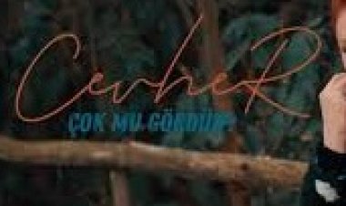 Cevher - Çok Mu Gördün şarkı sözleri