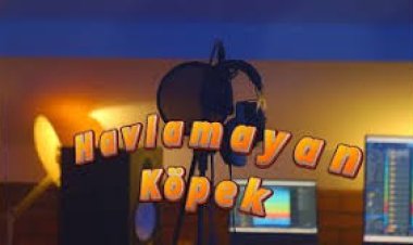 Decrat - HAVLAMAYAN KÖPEK şarkı sözleri