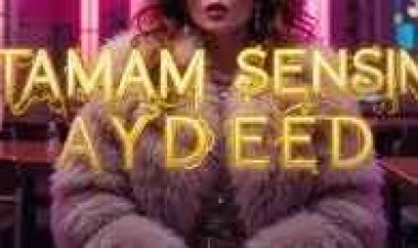 AYDEED TAMAM SENSİN şarkı sözleri