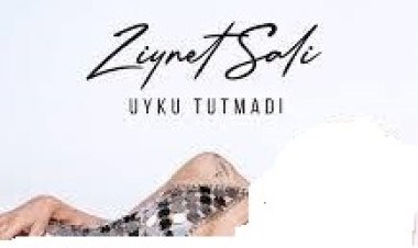 Ziynet Sali Uyku Tutmadı şarkı sözleri
