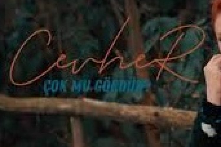 Cevher - Çok Mu Gördün şarkı sözleri