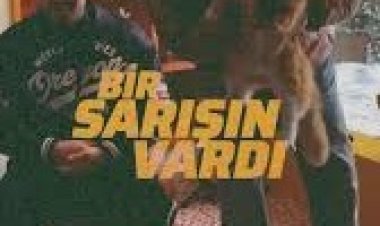 Okan - Volkan Ahlat - Sarışın şarkı sözleri