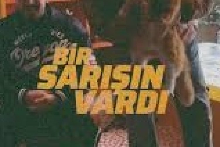 Okan - Volkan Ahlat - Sarışın şarkı sözleri