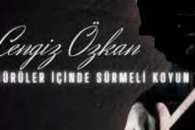 Cengiz Özkan | Sürüler İçinde Sürmeli Koyun