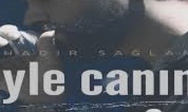 Bahadır Sağlam - Söyle Canım şarkı sözleri