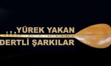 Mustafa Yılmaz - Düşman Başına şarkı sözleri