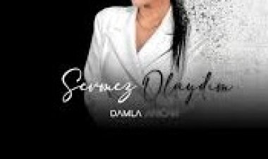 Damla Arıcan Sevmez Olaydım Şarkı Sözleri