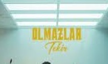 Tekir - Olmazlar şarkı sözleri