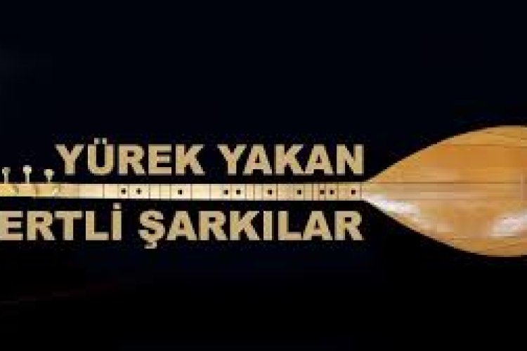 Mustafa Yılmaz - Düşman Başına şarkı sözleri