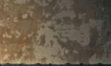 Wayb Ağzımda Dünden Kalan Bulaşıklar Şarkı Sözleri 