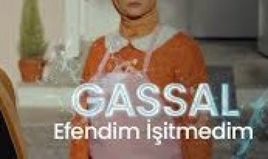 Bayhan - Efendim İşitmedim