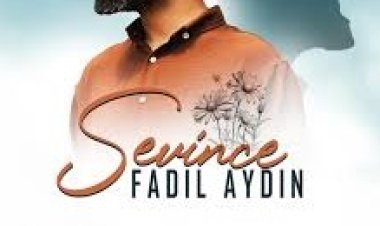FADIL AYDIN - SEVİNCE