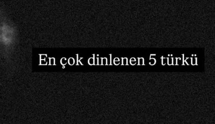 Damla Arıcan Hamdi Han Zehir Oluyor Geceler