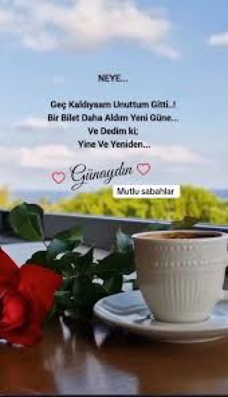 Günaydınlar seyredenler