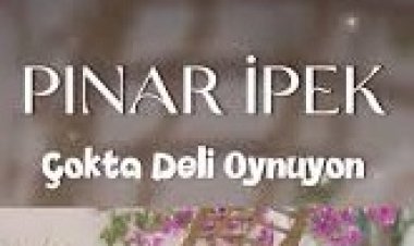 Pınar İpek Çokta Deli Oynuyon sözleri
