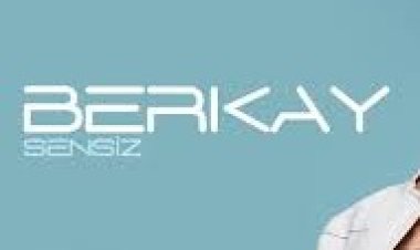 Berkay - Sensiz şarkı sözleri