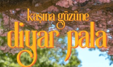 Diyar Pala - Kaşına Gözüne şarkı sözleri