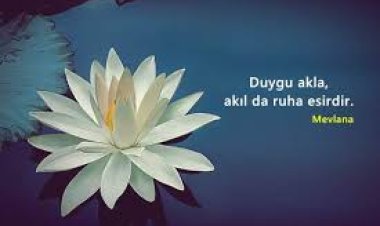 Doktor Dedi ki; Ruh Sağlığın İçin İnsan Diyeti Yapmalısın