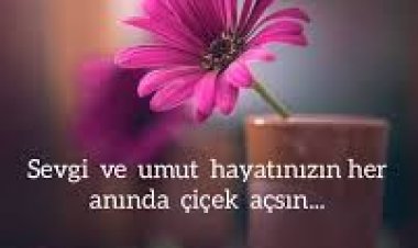 İyi akşamlar hayal edenler