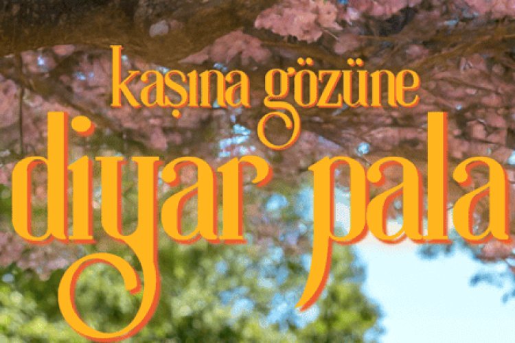 Diyar Pala - Kaşına Gözüne şarkı sözleri