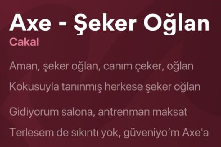 Cakal Şeker Oğlan şarkı sözleri
