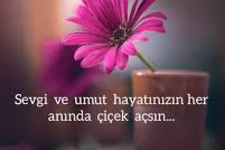 İyi akşamlar hayal edenler