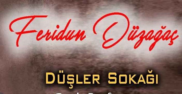 Feridun Düzağaç Ft Aleyna Tilki Düşler Şarkı Sözleri