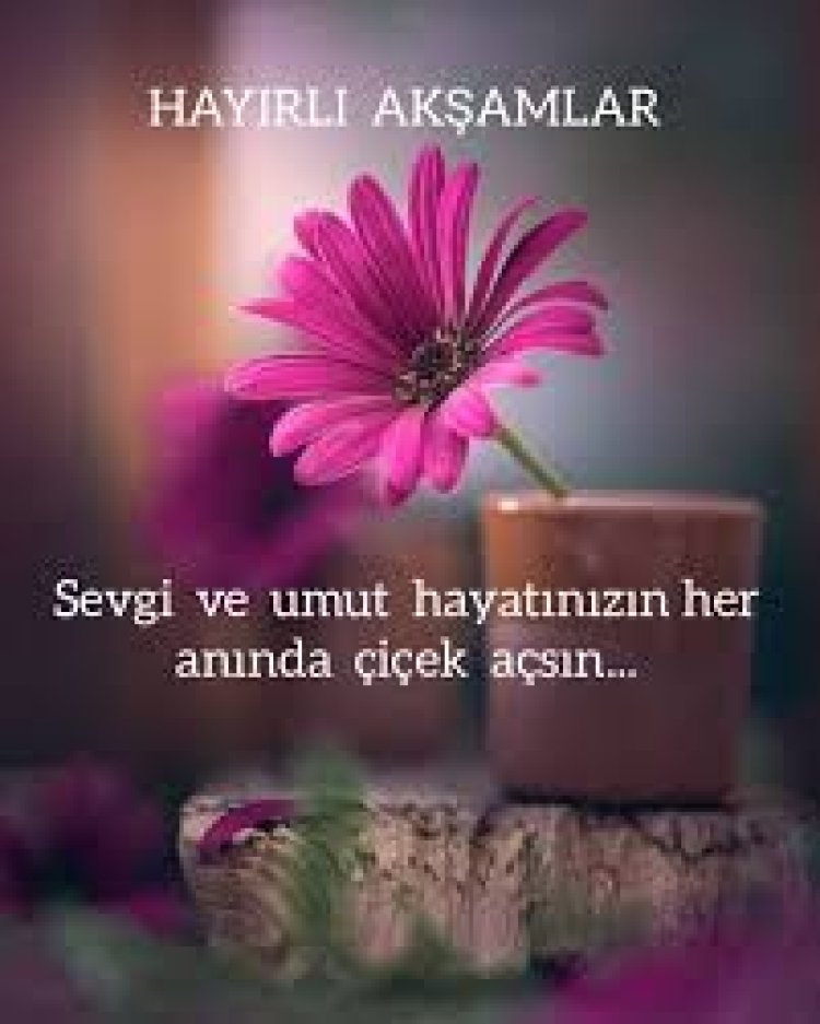 İyi akşamlar hayal edenler